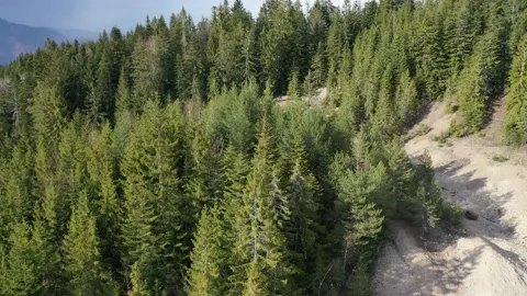 Aerial view of former copper surface deposit in mostly coniferous forest Stock Footage 137437271