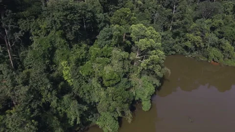 Aerial view at forrest lakeside with camera pan right in morning, Asia 動画素材 147235367
