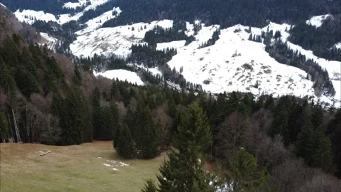 Aerial view forward flight over valley in Swiss mountains with green pine trees. Video stock 167983246