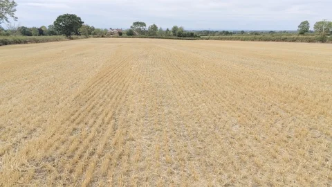 Aerial view, forward move. Brick house among fields in Cheshire. Video stock 95561215