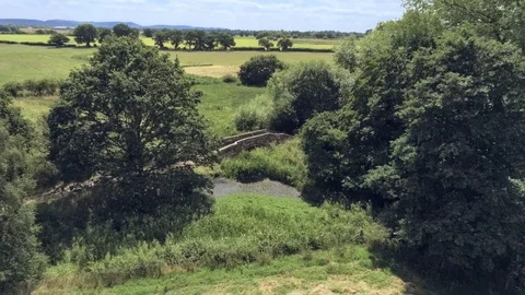 Aerial view, forward move. Drone fly between trees to old bridge Stock Footage 93487171