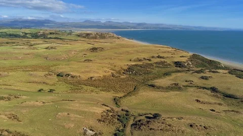 Aerial view, forward move. Drone panorama over meadow, sheep and sea with mou 動画素材 94241161