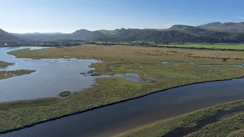 Aerial view, forward move. Drone panorama over Glaslyn reserve wetlands, bird Stock Footage 94244460
