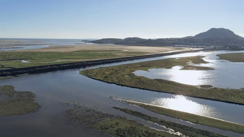 Aerial view, forward move. Drone panorama over Glaslyn reserve wetlands, Brit Stock Footage 94246444