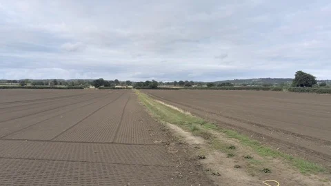 Aerial view, forward move. Harrowed field on Cheshire countryside Stock-Footage 95565516