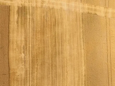 Aerial view on the four combines working on the large wheat field Stock Footage 79136501