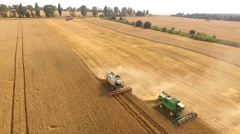 Aerial view on the four combines working on the large wheat field Stock Footage 90980464