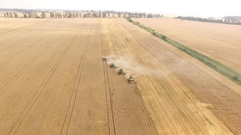 Aerial view on the four combines working on the large wheat field Stock Footage 90982520