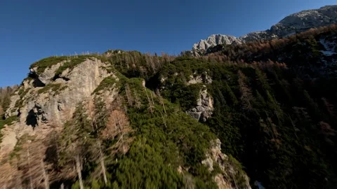 Aerial View FPV Gliding Over Exposed Rock Alpine Tundra, 4K Stock Footage 323462602