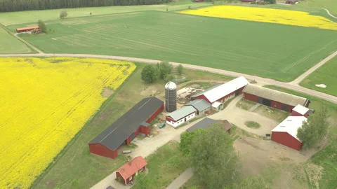 Aerial view of framstead &amp; surrounding agricultural fields Stock Footage 132032553