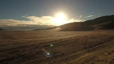 Aerial view of free range cattle in dry desert country - California, USA Stock Footage 82608317