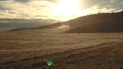 Aerial view of free range cattle in dry desert country - California, USA Stock Footage 82689580