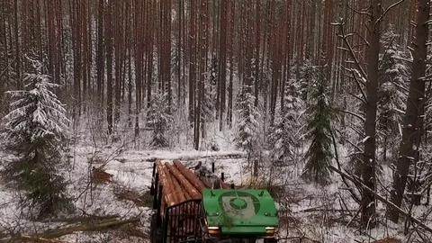 Aerial view on freight forwarder working in the forest Stock Footage 70706466