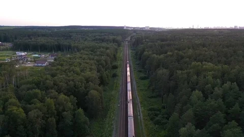 Aerial view of freight train rides through the autumn forest at sunset Stock Footage 113111700