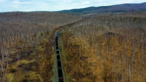 Aerial view of freight train rides through the autumn forest at sunset 스톡 동영상 118280585