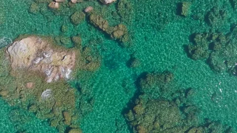 Aerial View: Friends float on paddleboards and relax on the azure sea, enjoying Video stock 296171012