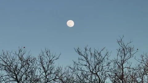 Aerial view of a full moon on a winter day Stock Footage 301575612