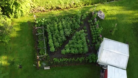 Aerial view of a garden Stock Footage 159375566