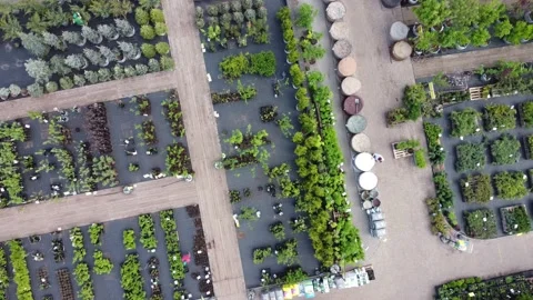 Aerial view of garden shop. working people. potted plants Stock Footage 200064620
