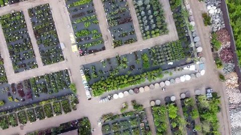 Aerial view of garden shop. working people. potted plants Stock Footage 200066543