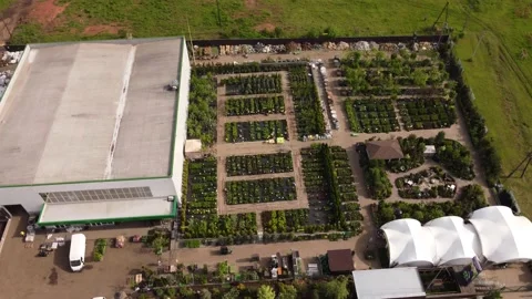 Aerial view of garden shop. working people. potted plants Stock Footage 200069364