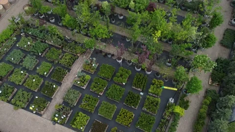 Aerial view of garden shop. working people. potted plants Stock Footage 200073353