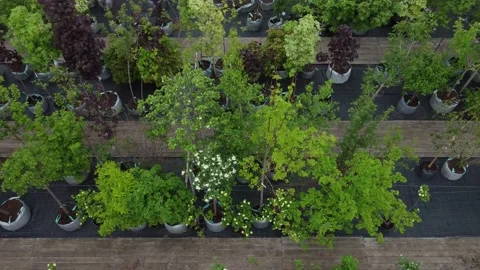 Aerial view of garden shop. working people. potted plants Stock Footage 200090113