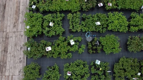 Aerial view of garden shop. working people. potted plants Stock Footage 200092833