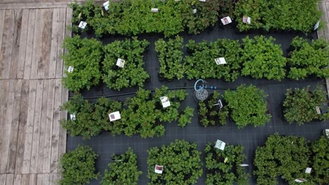 Aerial view of garden shop. working people. potted plants Stock Footage 200094325