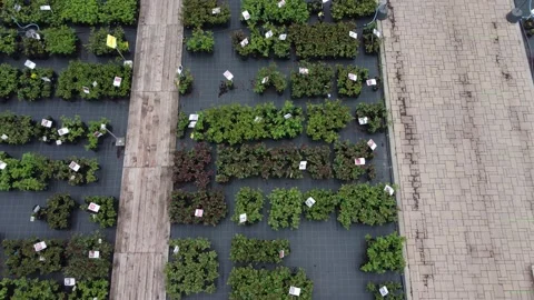 Aerial view of garden shop. working people. potted plants Stock Footage 200096755