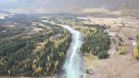 Aerial view of gem blue Kanas River and autumn forests in Xinjiang Vídeos de archivo 344900123