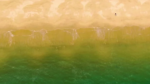 Aerial view of gentle ocean waves rolling onto a sandy tropical beach shoreline Stock Footage 341944684