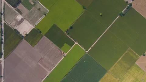 Aerial view of geometric agricultural fields in Kasur, Pakistan. Stock Footage 337169289
