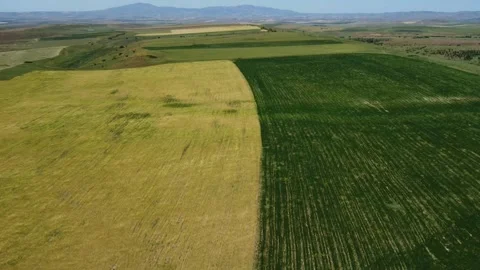 Aerial view of geometric agricultural patchwork and steppe valley in Kazakhstan 動画素材 338120262