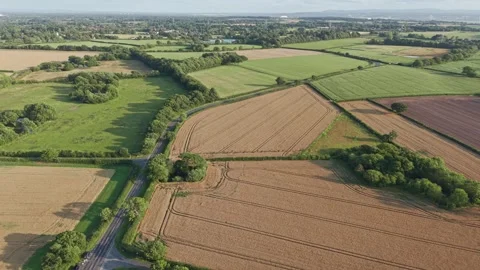 Aerial view of geometric cereal fields in patchwork pattern, England Stock Footage 319569234