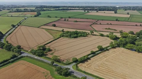 Aerial view of geometric cereal fields in patchwork pattern, Merseyside, En.. Stock Footage 319569629
