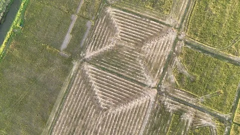 Aerial View Of Geometric Patterns In A Dry Agricultural Field Under Natural.. Stock Footage 323927670