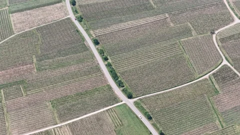 Aerial view of geometric vineyard patterns and rural roads, France. Stock Footage 334773019