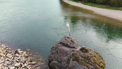 Aerial view of Georgenstein, a massive boulder rising from the Isar River near Stock Footage 315684405