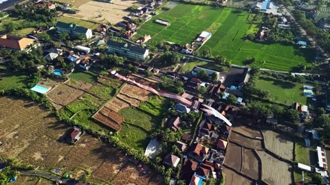 Aerial View Of Giant Long Tail Kite Above Coastal Rice Paddies In Bali Indonesia Stock Footage 342590261