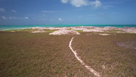 Aerial View of Giant Queen Conch Shell Mounds on Tropical Island in Los Roques Stock Footage 339780471