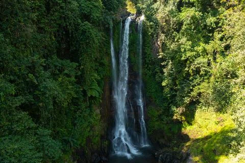 Aerial View of Gitgit Waterfall Surrounded by Lush Tropical Forest in Bali Stock Photos