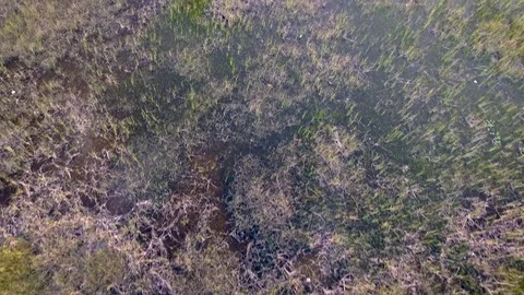 Aerial View of Glades Video stock 79009118