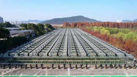 Aerial view of glass structure over waste water Stock Footage 166788536