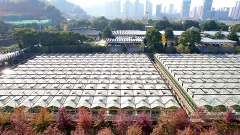 Aerial view of glass structure over waste water Stock Footage 166788778
