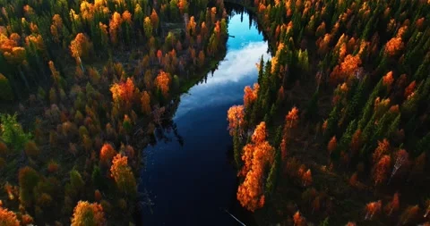 Aerial view gliding above a winding lake surrounded by colorful autumn forest 스톡 동영상 346317441