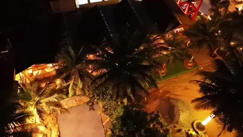 Aerial View Glimpse of Palm Lined Getaway Stock Footage 307279719