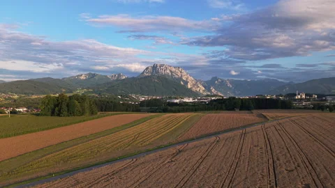 Aerial view of golden fields and Traunstein mountain at sunset, Austria Vídeos de archivo 331299400
