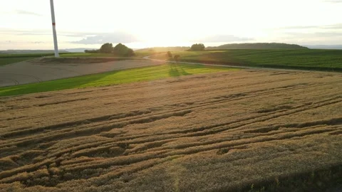 Aerial view of golden fields which are illuminated by sunbeams during sunset Stock Footage 164616790