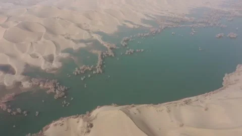 Aerial View Of Golden Populus Euphratica Forest In Huludao Desert, Xinjiang Vídeos de archivo 345026876